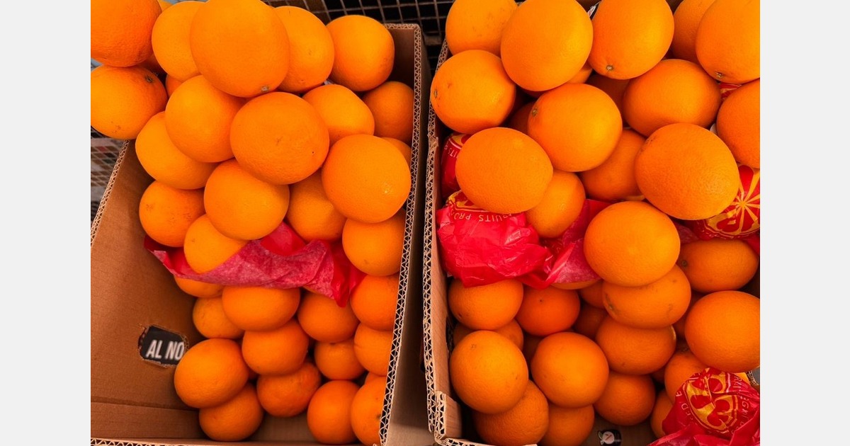 Цены на цитрусовые: импортёры в Индии придерживают партии