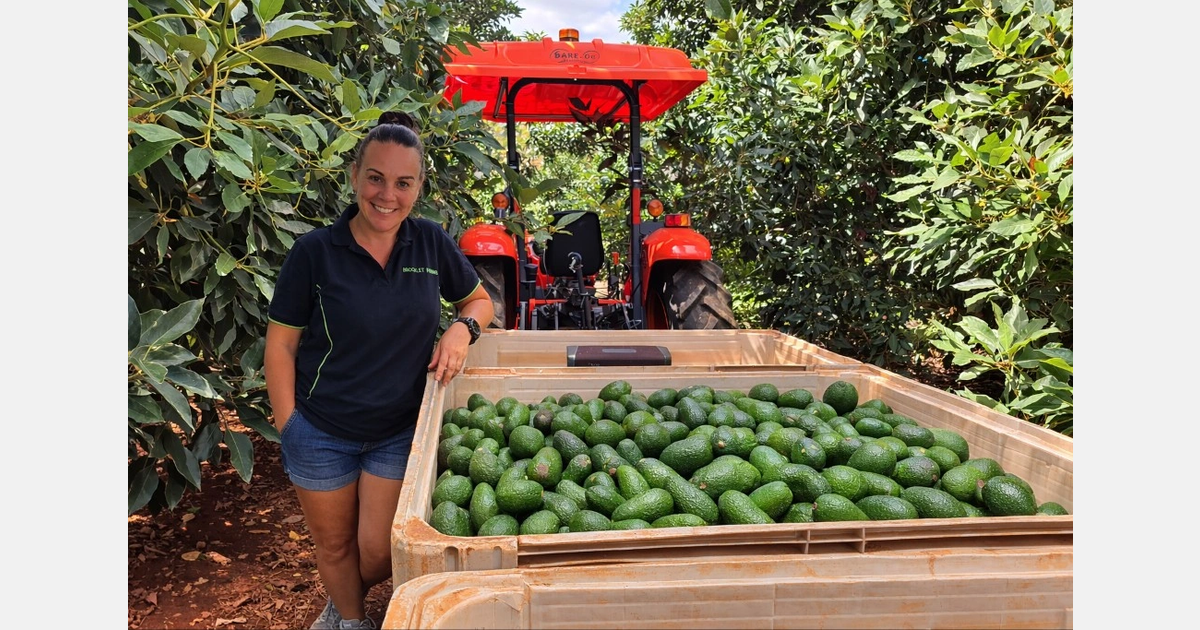 "There is still significant fruit entering the market, which has kept prices below the cost of production"