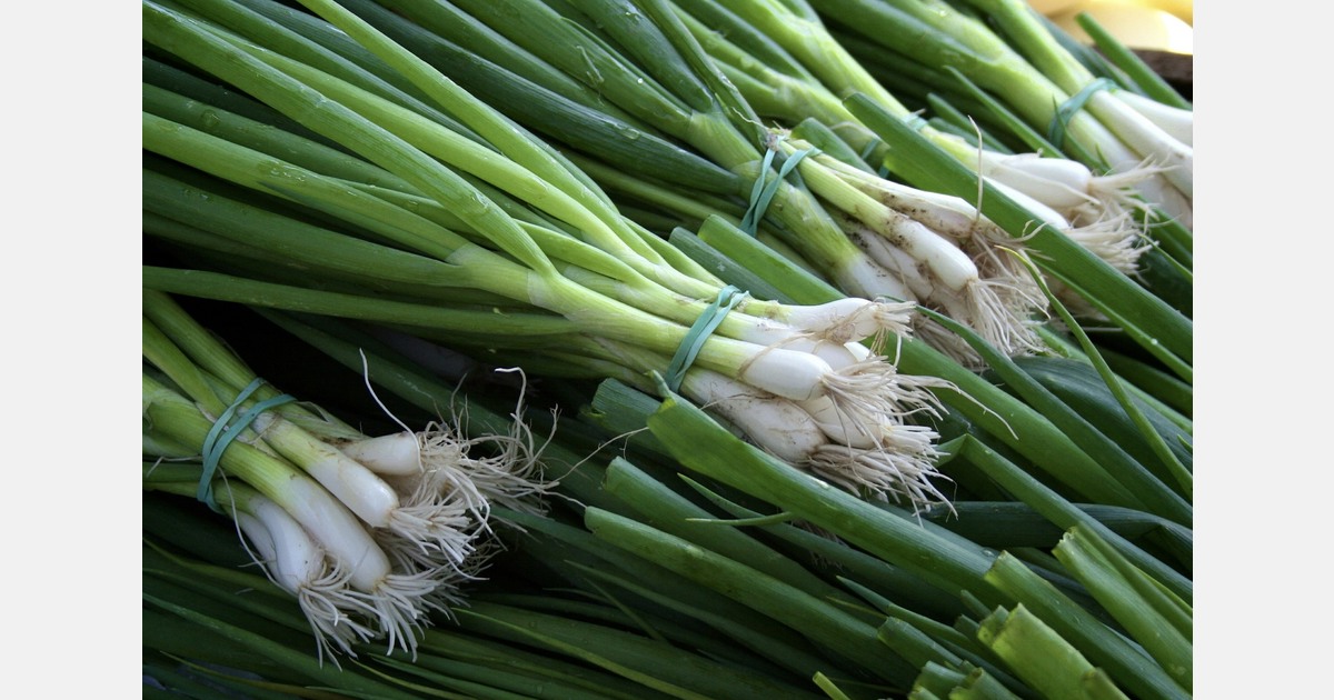 “Uzbek herbs take on Turkey and Egypt in EU markets”