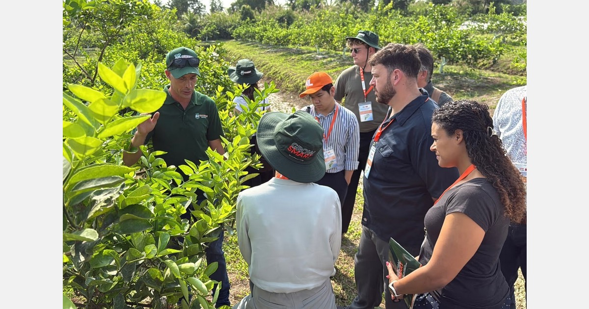 Over 1 million livelihoods depend on Vietnam’s citrus sector
