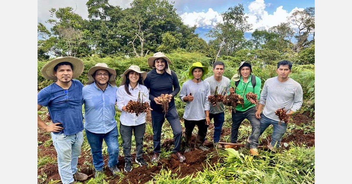 Increasing shipping rates could affect stable ginger pricing