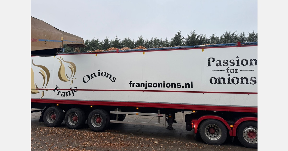 Packing facilities ending season early as European onion self-sufficiency grows