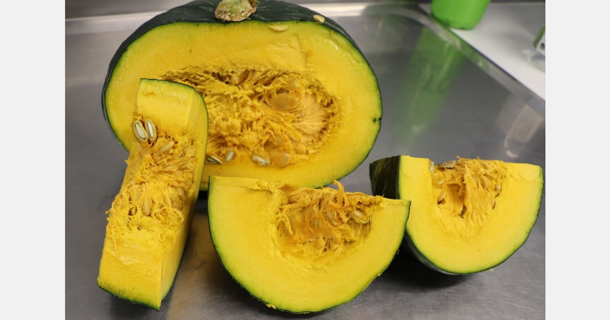 "I believe that this variety of squash from New Zealand will be ideal for Vietnamese consumers"