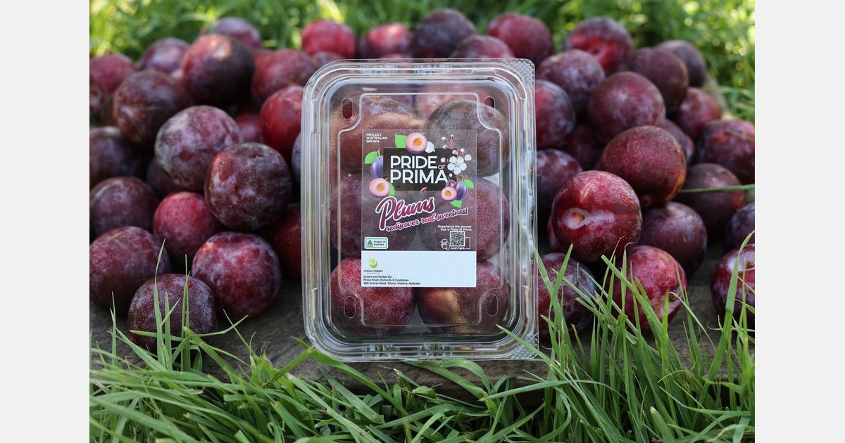 Partnership brings stone fruit success
