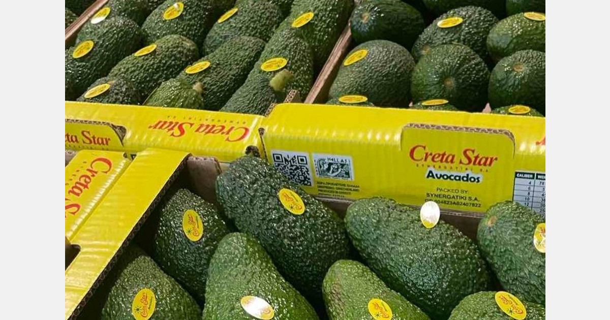 Increased production, smaller sizes for Greek Hass avocados