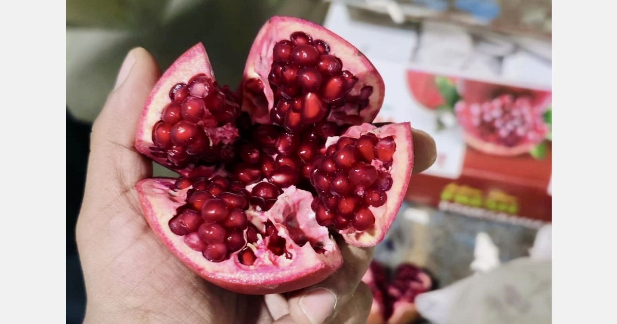 “U.S., Australian buyers still want our pomegranates, but shipping is a logistical minefield now”