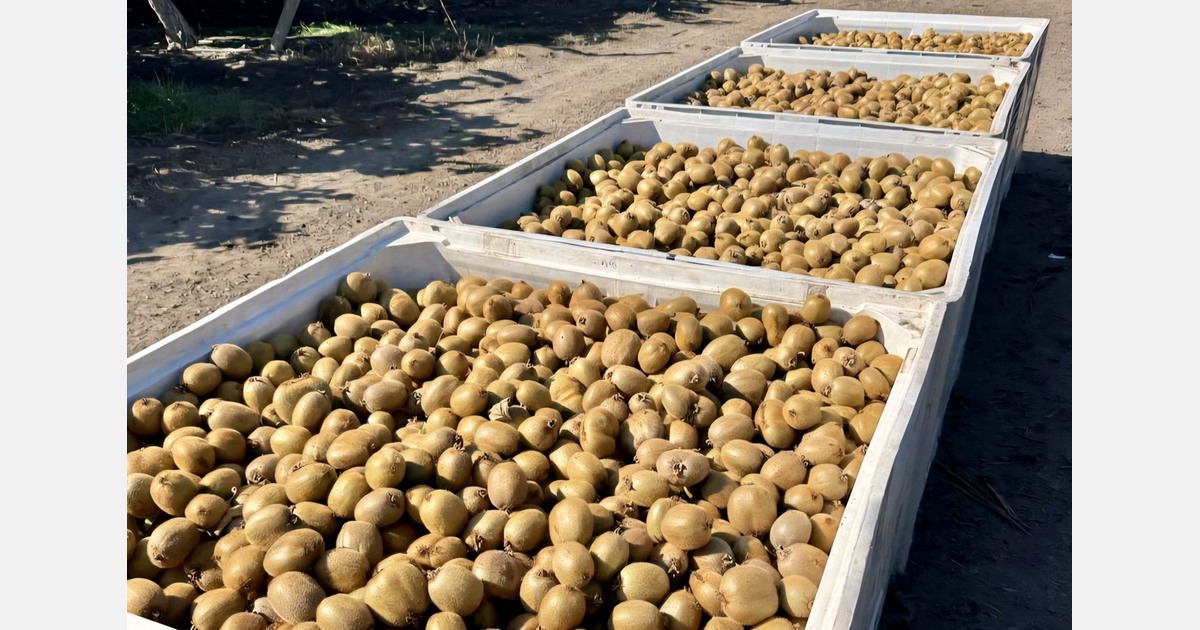 "Kiwi demand jumps 30-40% against thin stock in India"