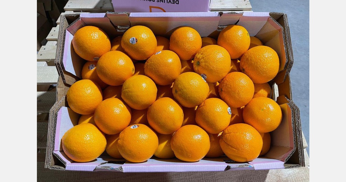 “If one market doesn’t work, we move into another.”