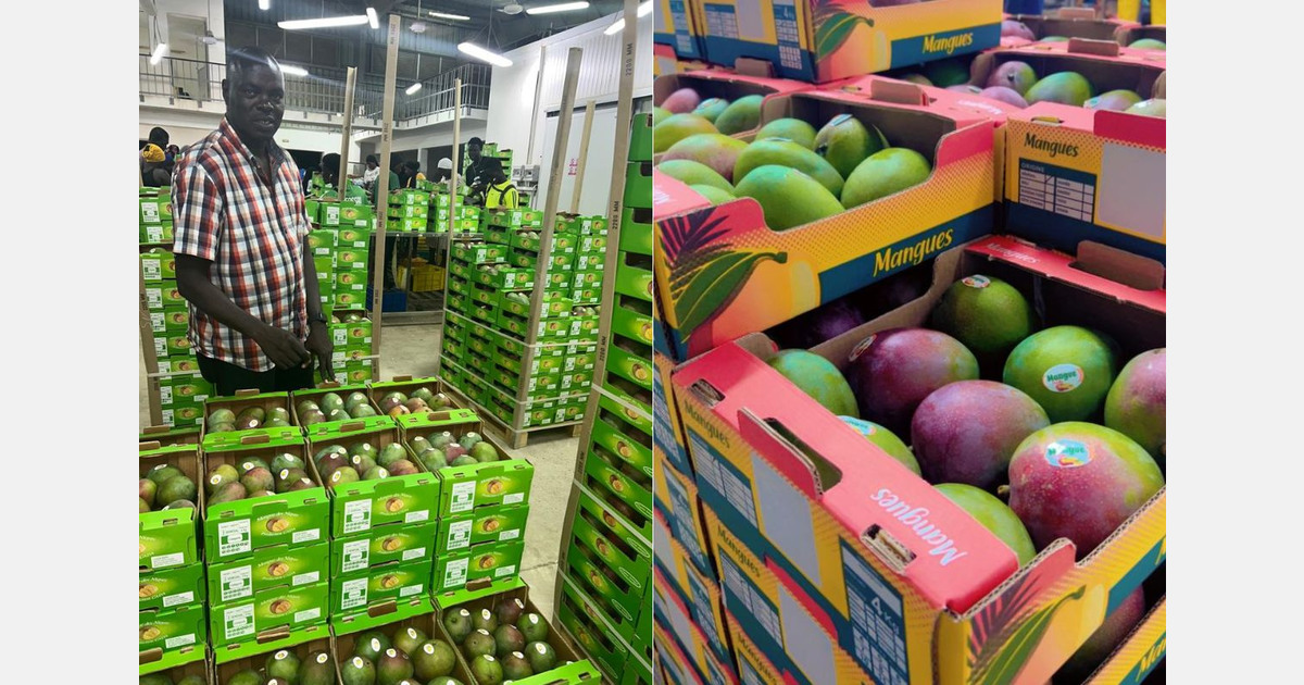 "We will do our utmost to ensure there are no flies in our shipments"