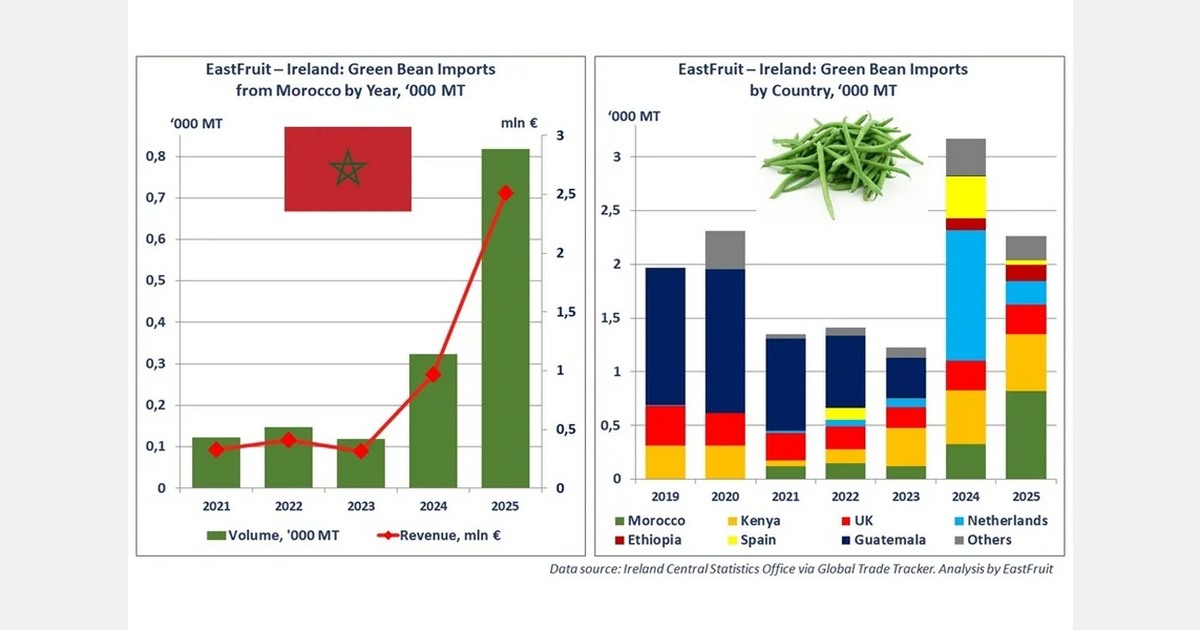 Morocco becomes Ireland’s top green bean supplier