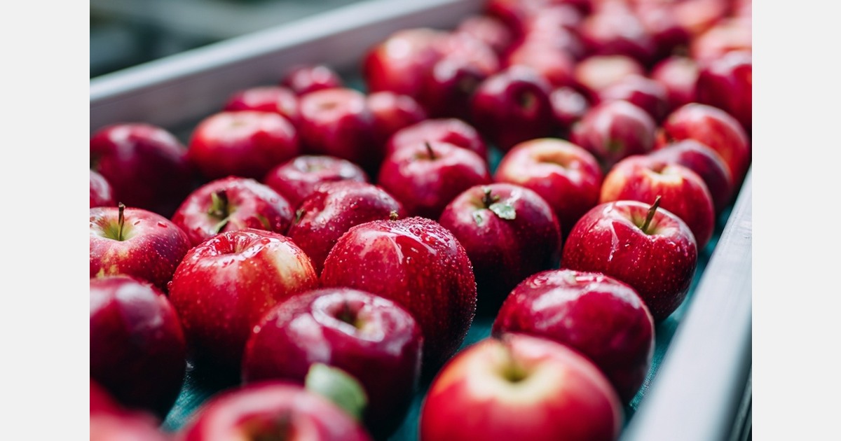 Brazilian apple imports rise as EU exports grow