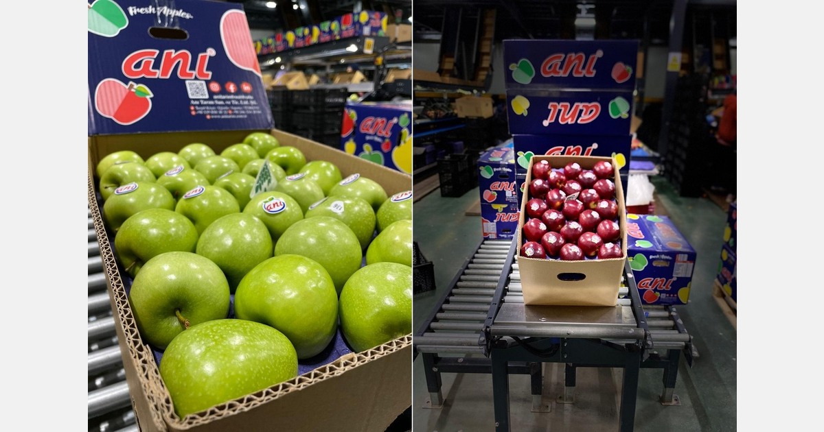 "Despite the weaker demand, the domestic market has allowed us to continue operations"