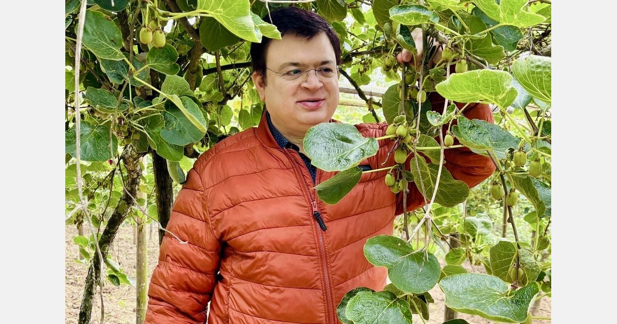 “Lucrative kiwi cultivation sweeps India's mid-hills, FPOs build interstate linkages”