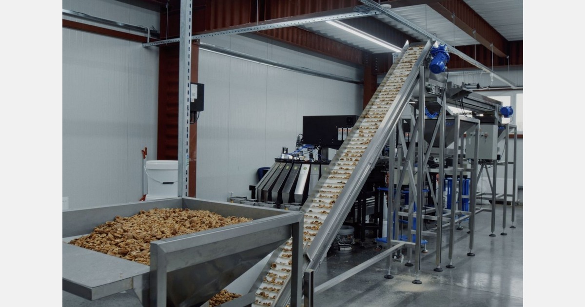 "The sector is shifting towards higher-value production"