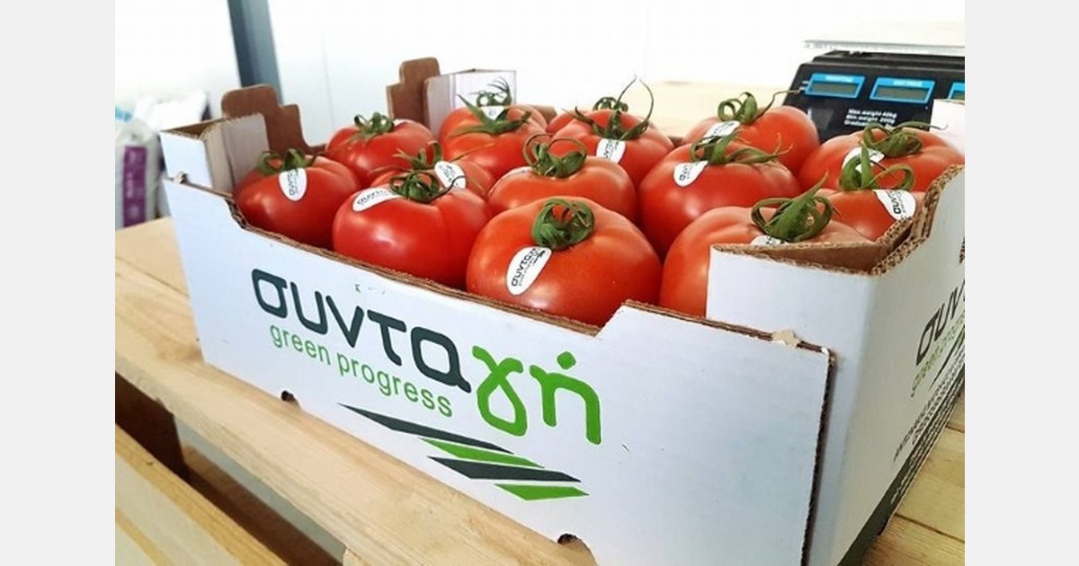 “When pressure on tomatoes from the Balkans increases, you invest in quality and more specialized products”