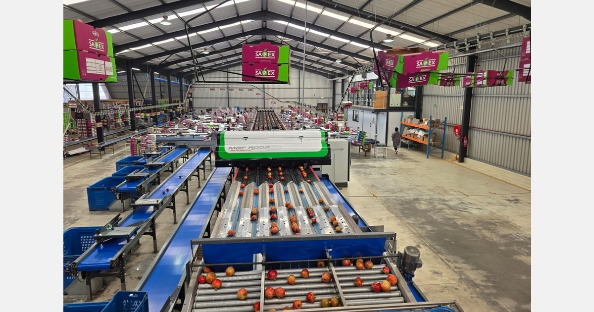 Pull for South African pomegranates undeterred by war