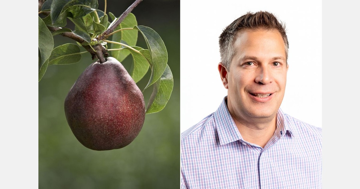 Mexico remains strong export market for pears from the U.S.