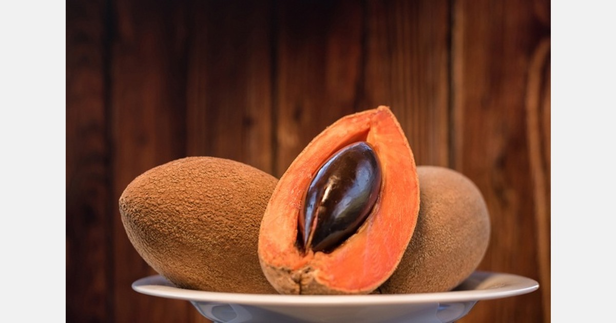 Mexico exports mamey to the UK for first time