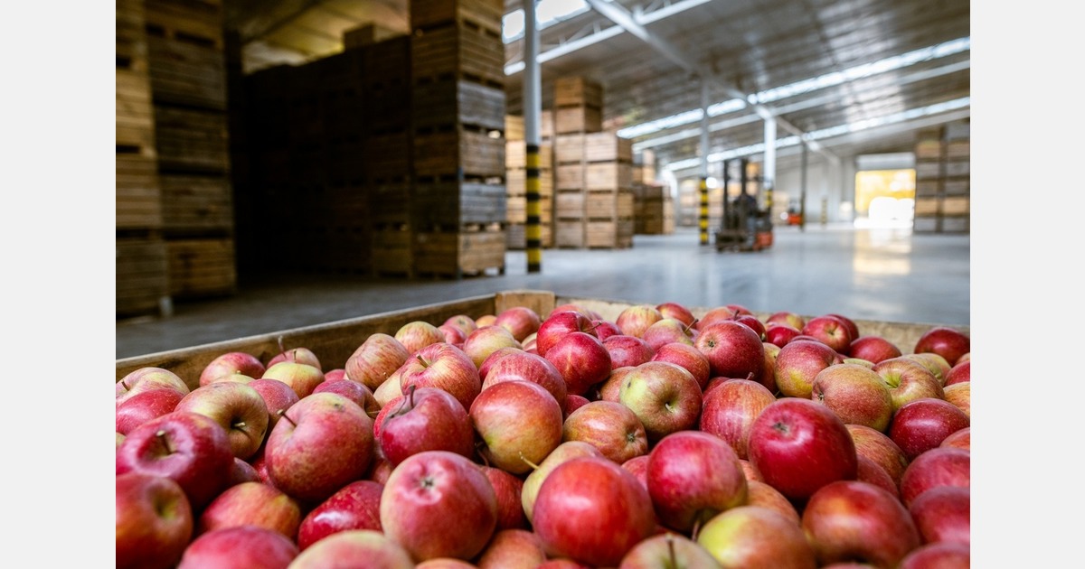 Netherlands shifts organic import inspection costs to importers
