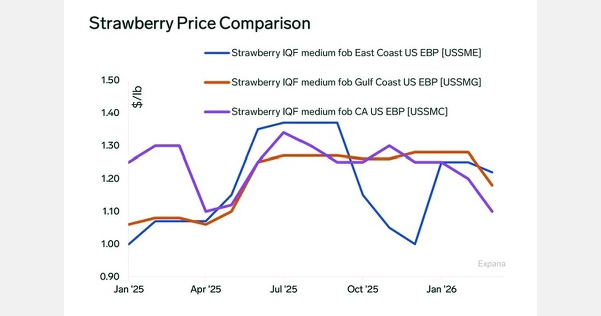 Strawberry market sees higher California supply and EU price pressure