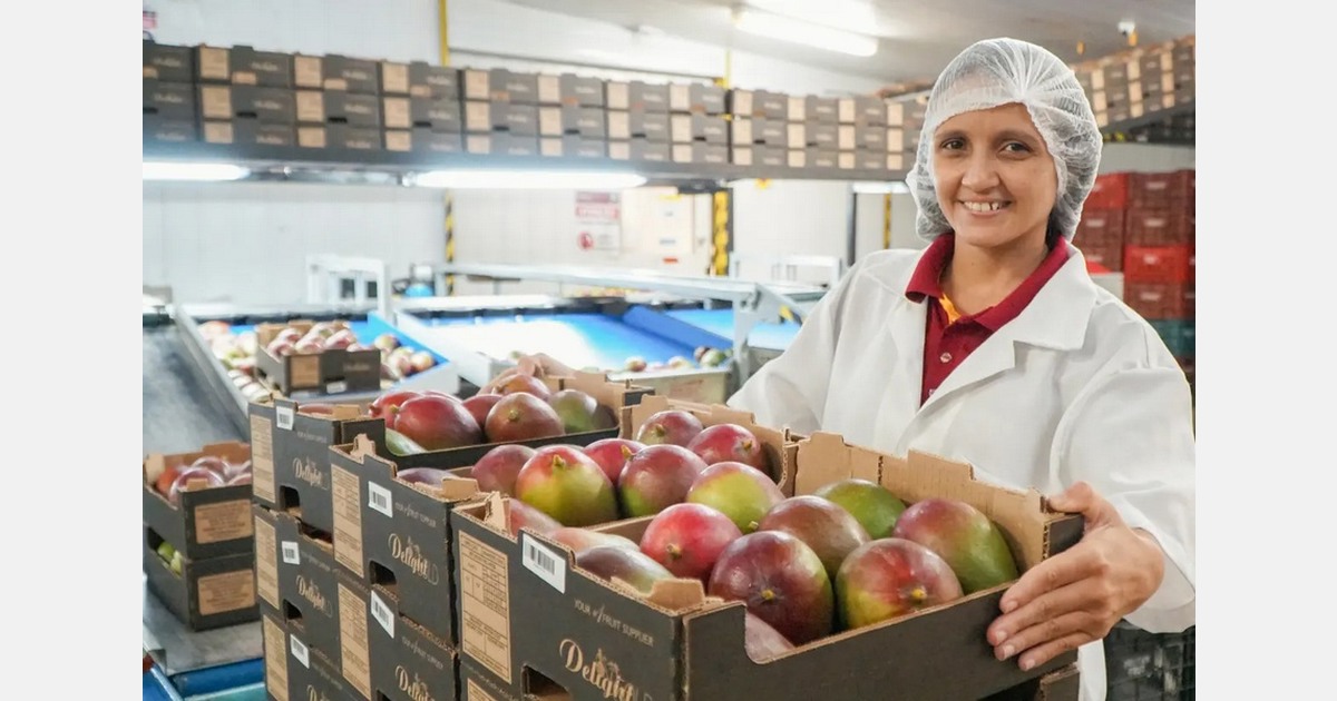 Fairtrade merges fruit and vegetable standards for 2027