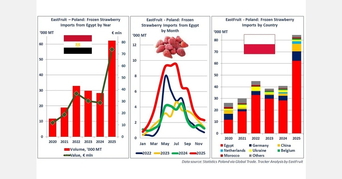 Egypt strawberry exports to Poland reach 62,200 tons in 2025