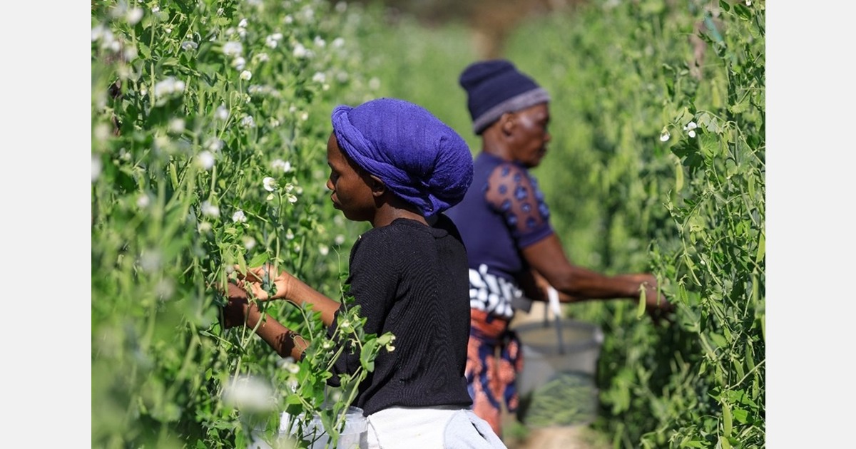 Zimbabwean grower-exporter takes the next step in its exporting journey