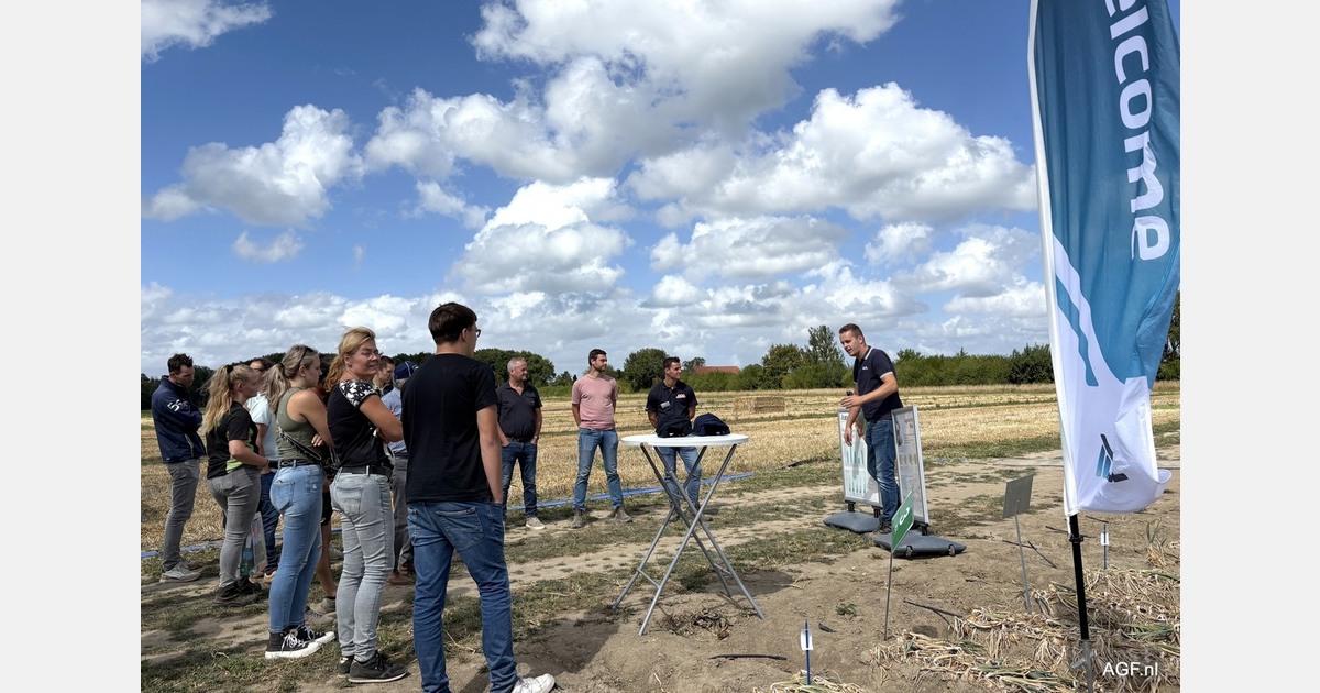 Netherlands to host International Onion Day focused on future production