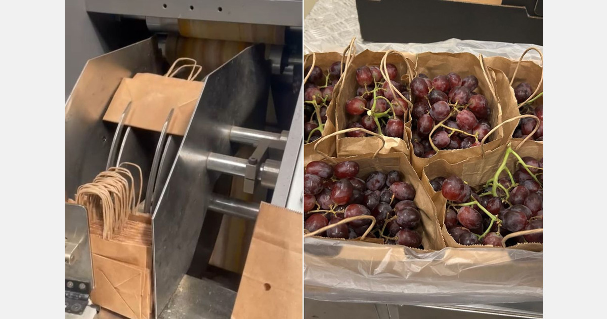 Supply security drives packaging decisions in Egypt’s table grape export season