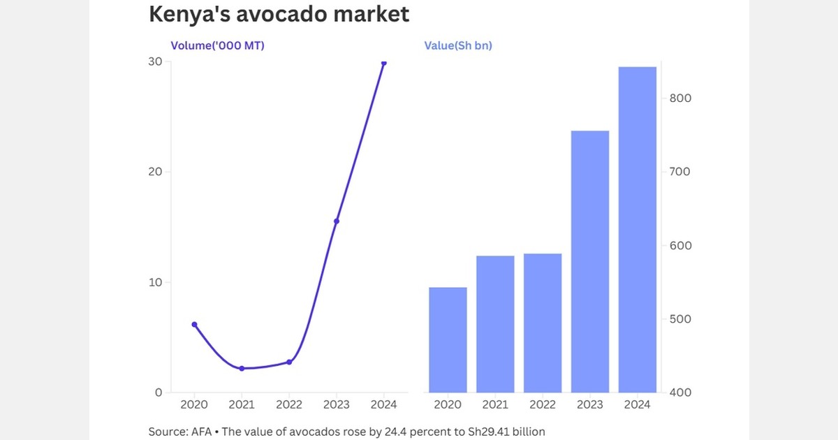 Kenyan avocado exports during ban trigger shortages