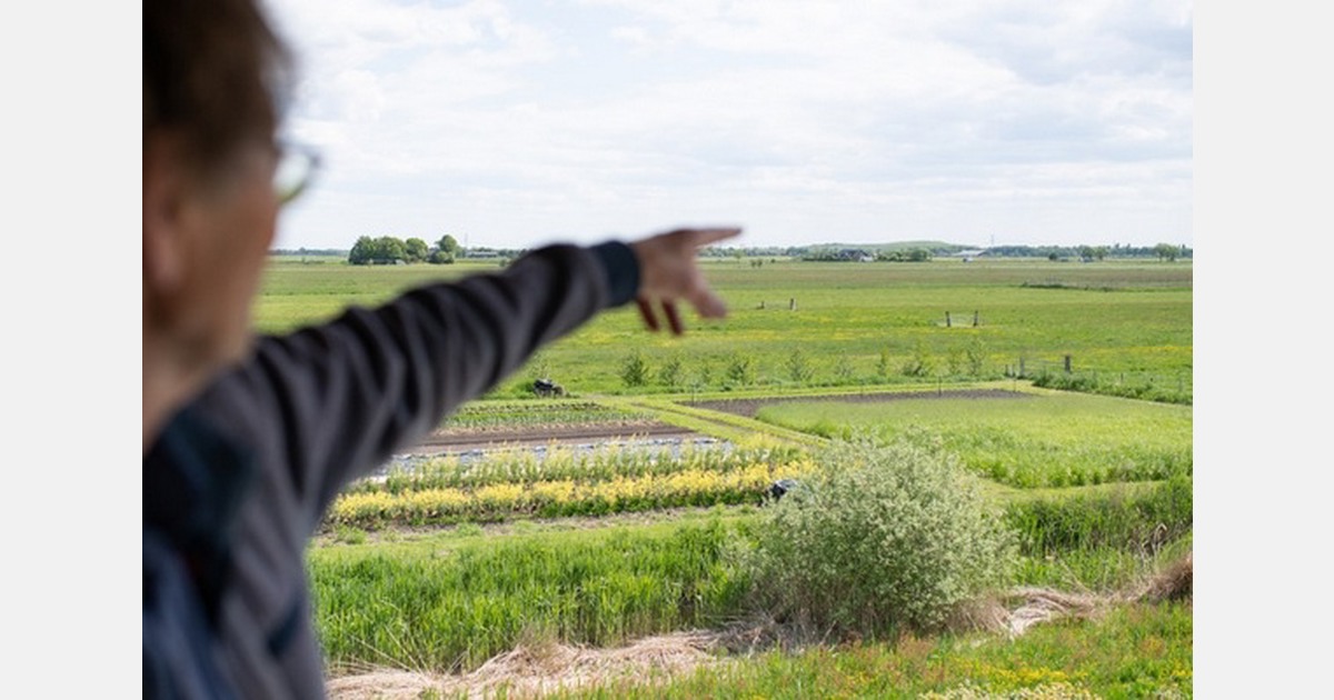 Dutch organic farmland grows to 86,900 hectares in 2025
