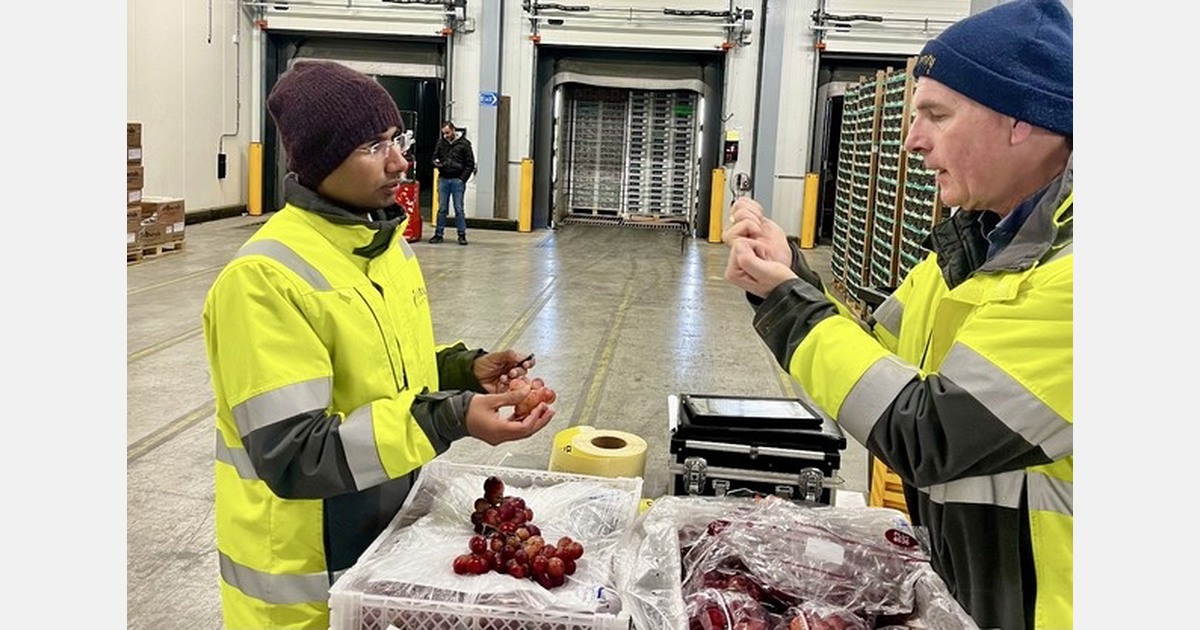 “The Middle East crisis is not just testing produce, it's testing quality control too”