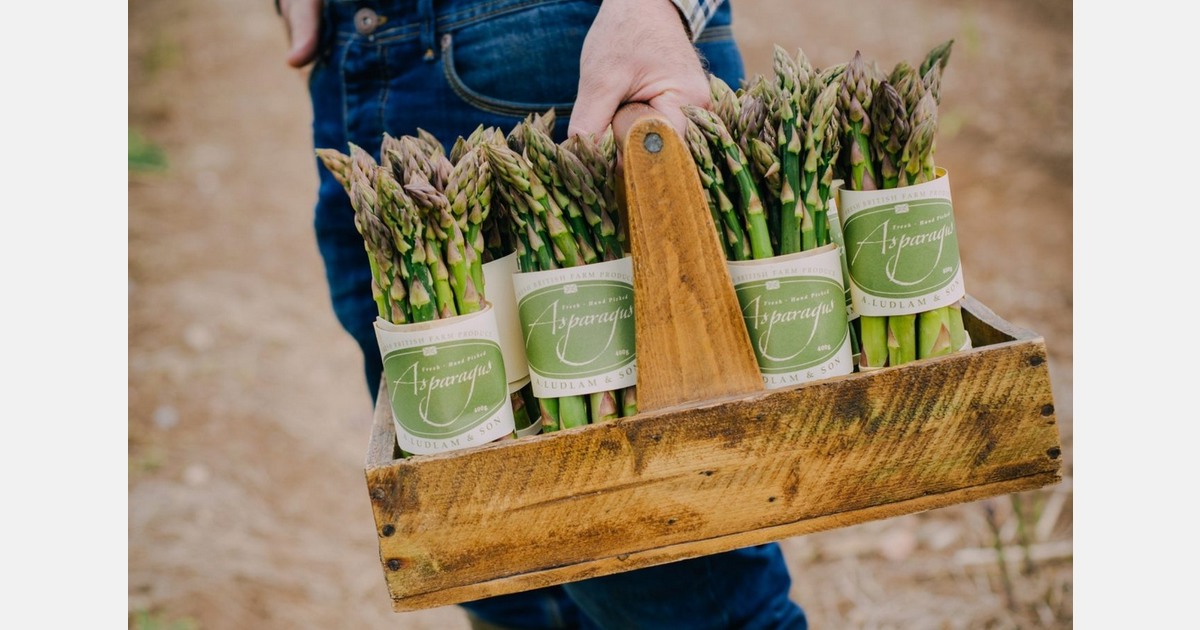 UK asparagus conference 2025 focuses on weed control