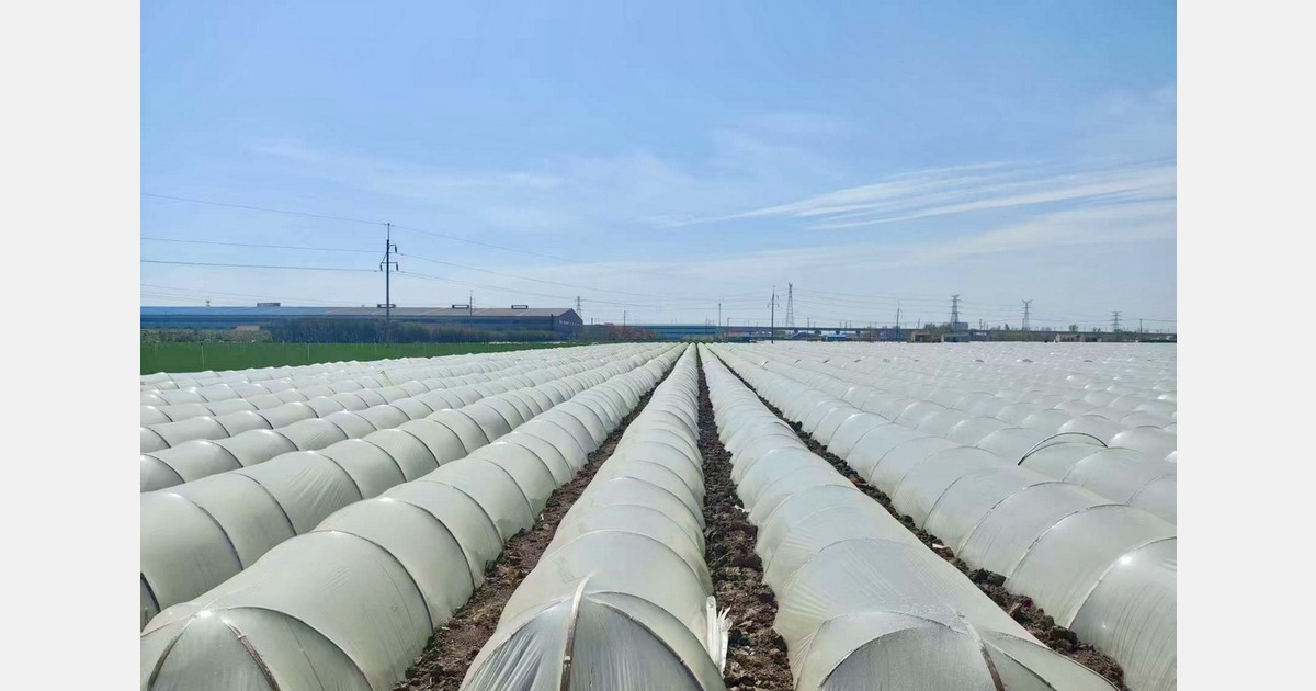 China improves pesticide practices to support exports