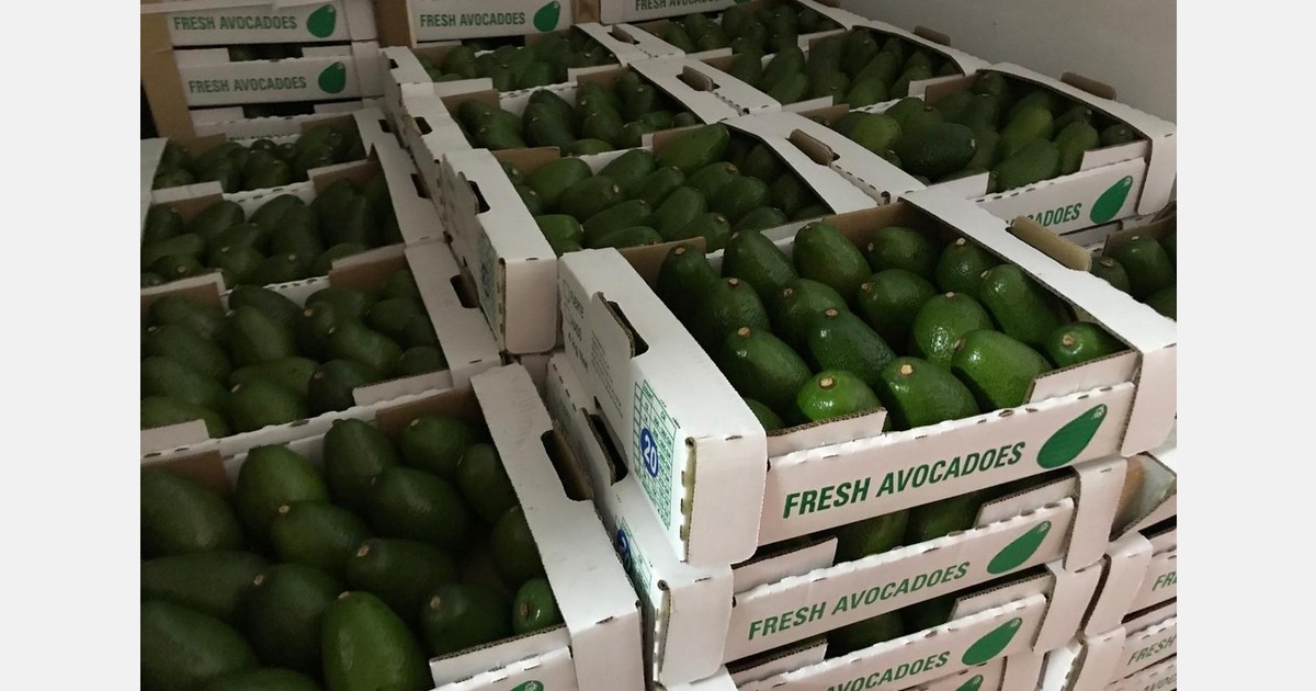 "The market has become more sophisticated and competitive, with stricter requirements"