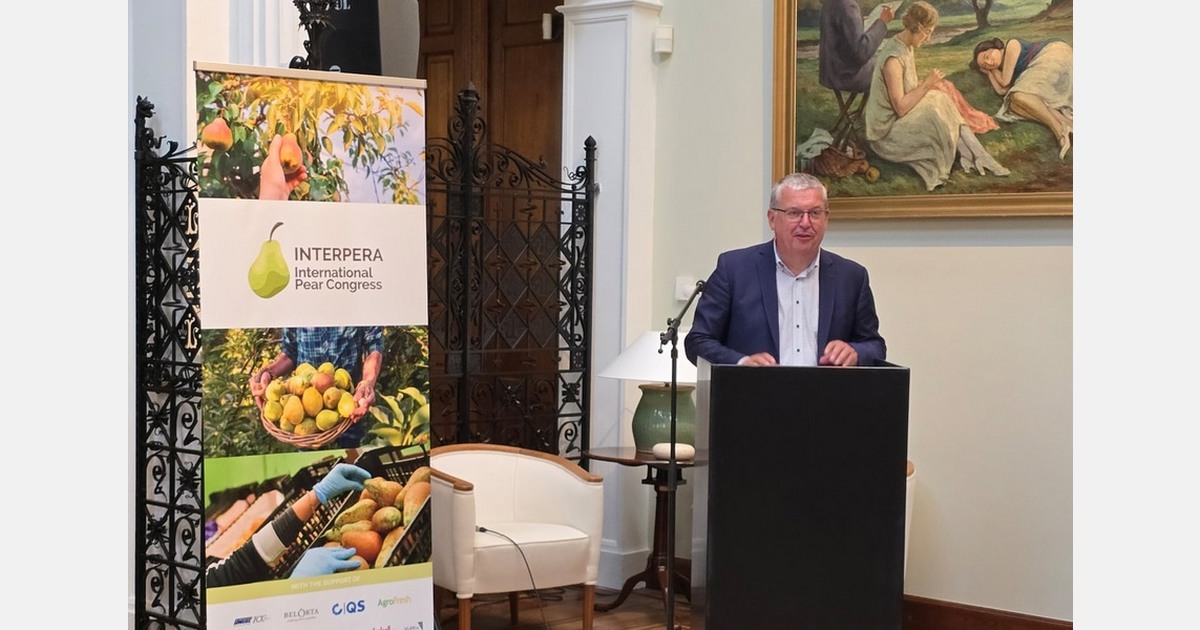 Italy to host international pear conference in Ferrara