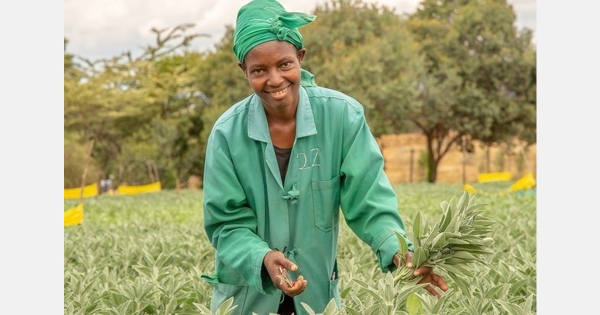 Virtual B2B event to showcase fruit and herb producers from seven countries