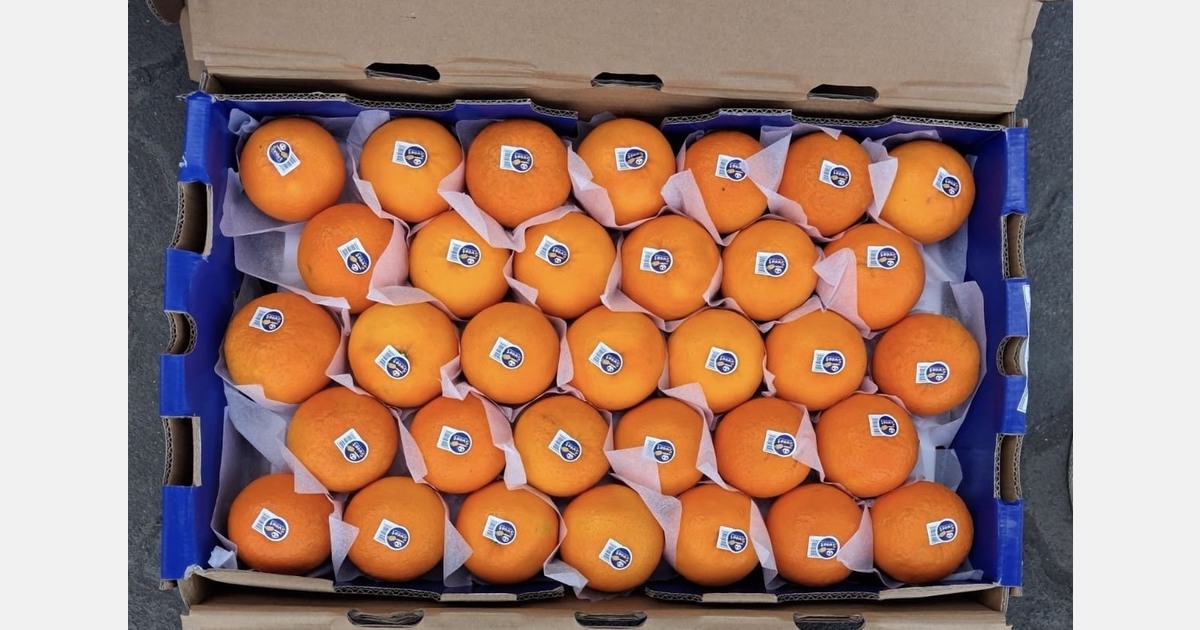 Imported citrus demand heats up in India as summer intensifies