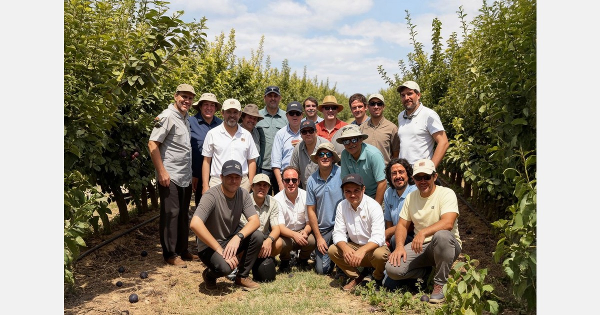 Chile's fruit industry launches new BabyPlum Club
