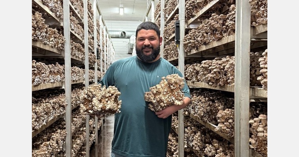 Canadian exotic mushroom growers frustrated with imported compost