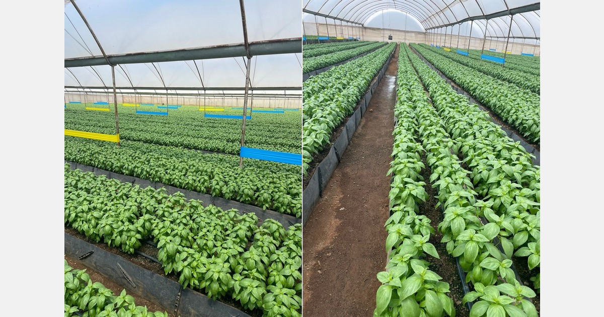 "Despite ongoing uncertainty, the impact of the conflict will remain visible in the market for the coming months"