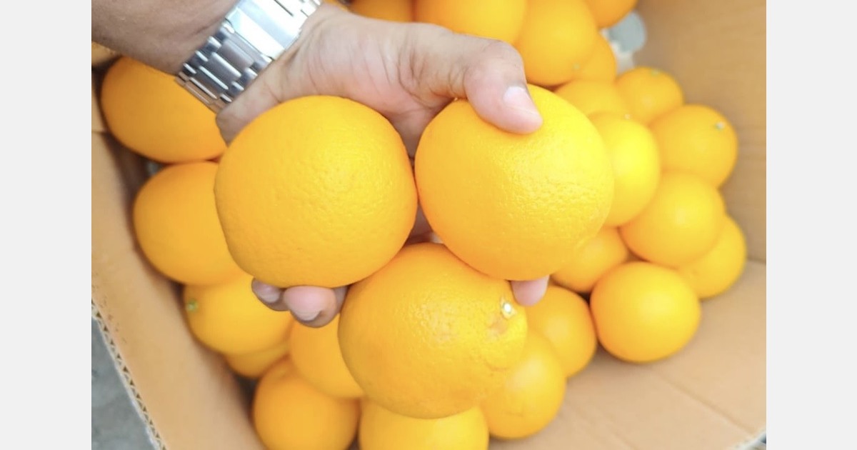 "Egyptian Valencias 30-40% cheaper in India compared to last year"