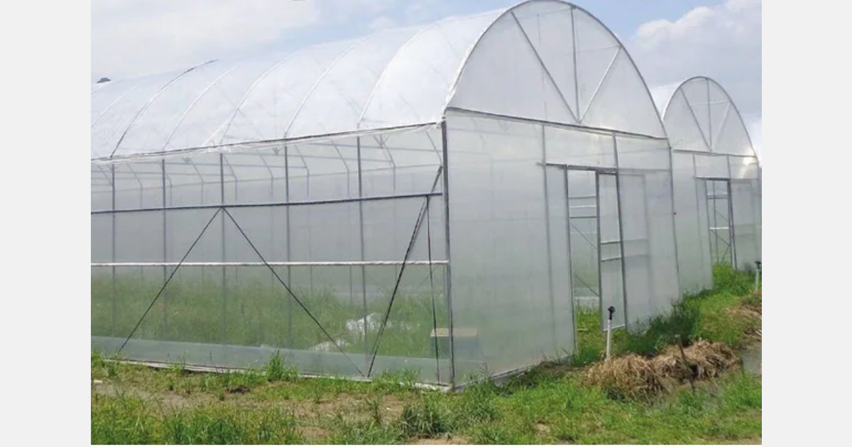 Ongoing shortage of agricultural film in Morocco