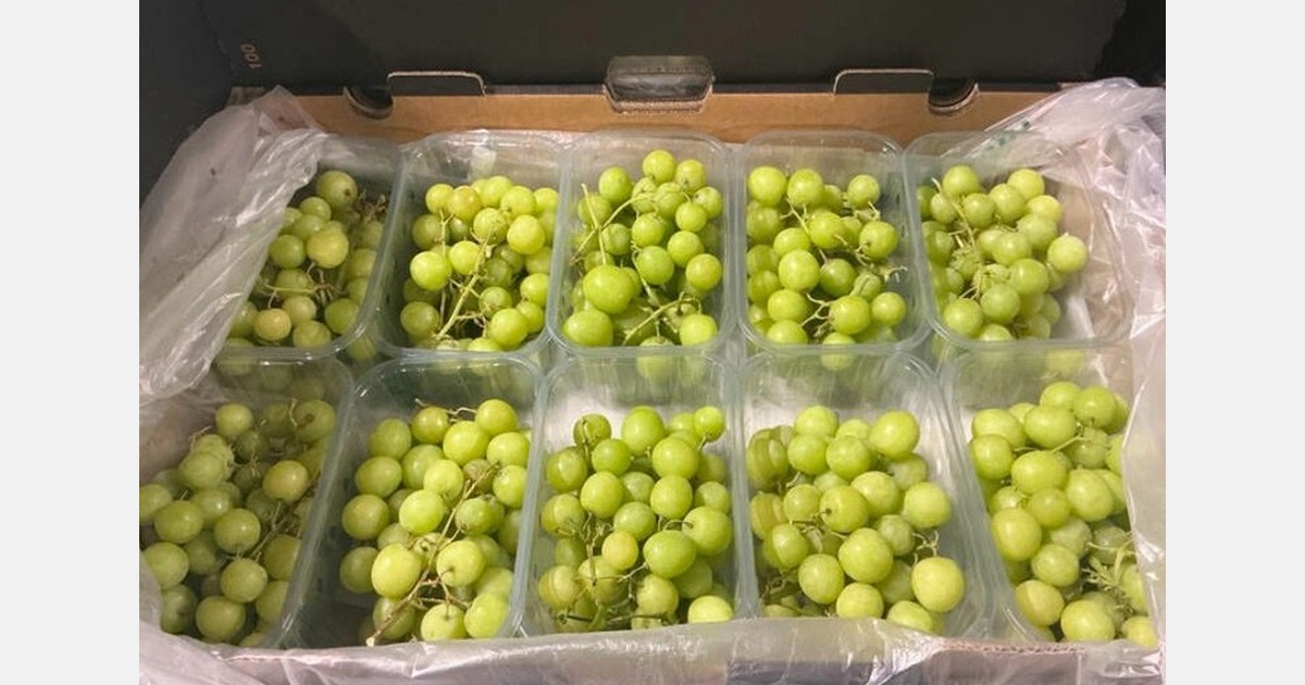 "We are hoping that we can fill the current gap in the market when Chile and India can’t supply