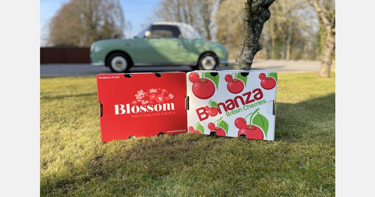 "In 2026, retail remains the anchor, but not the long-term solution for peak volume"