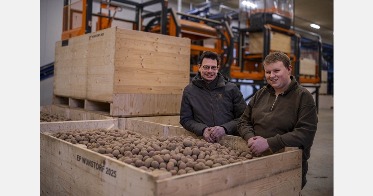 German seed potato site adopts automated box logistics system
