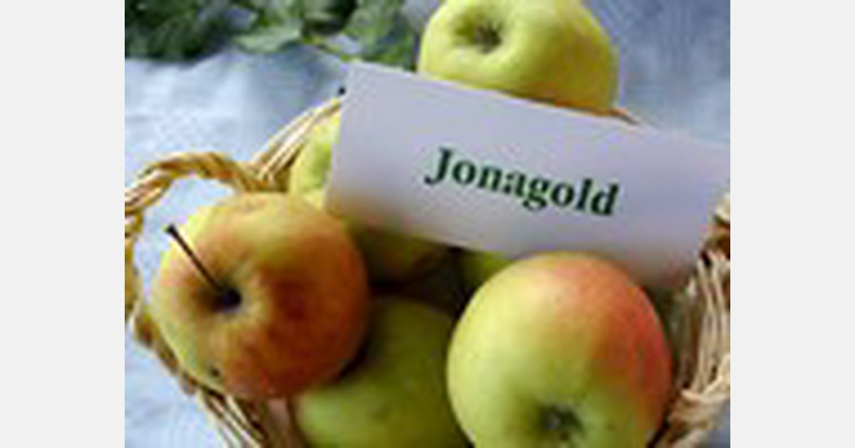 Jonagold beats Pink Lady