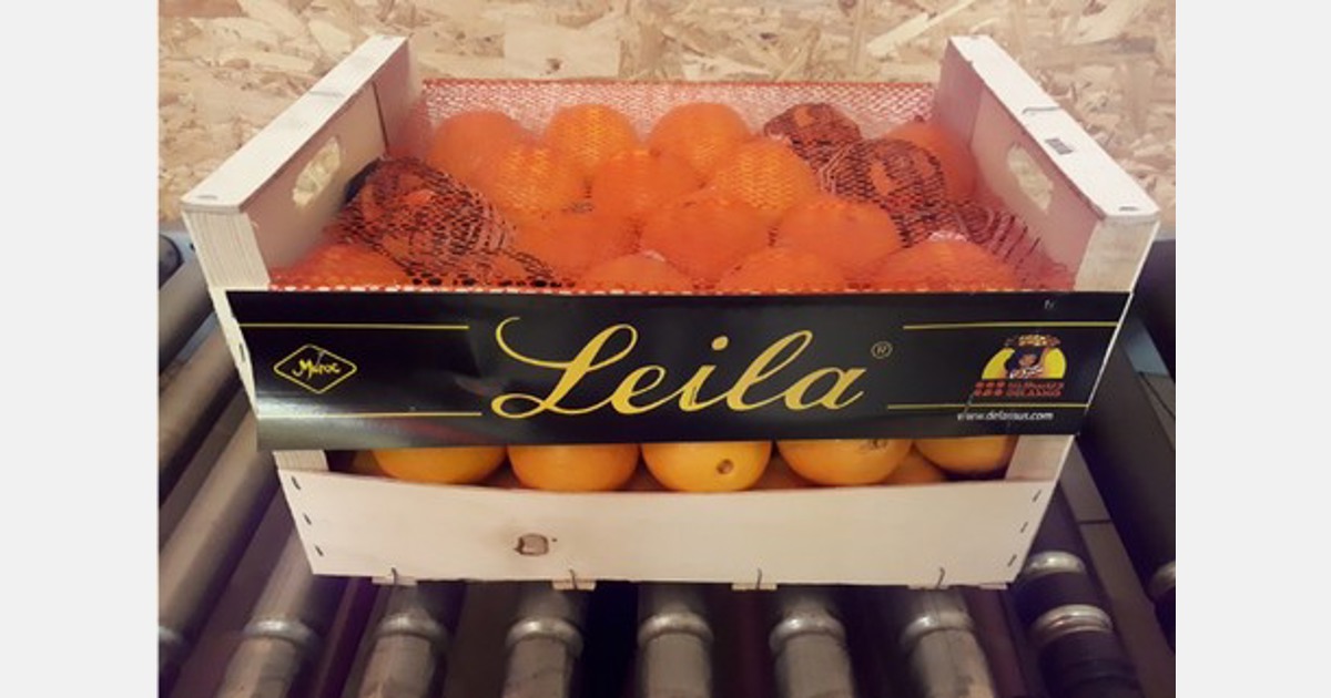 “Procurement of Moroccan oranges tends to be more difficult”