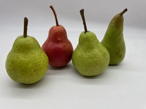 Subdued demand for organic pears from overseas