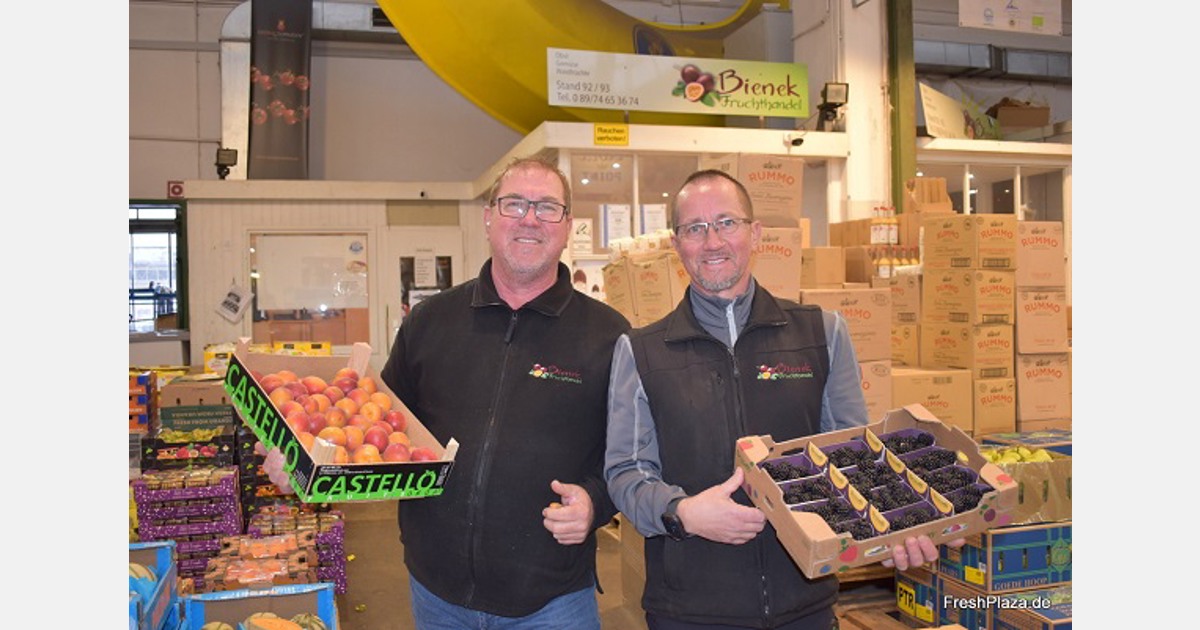 Good demand for lychees from South Africa and cherries from Chile